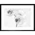Black and White Orchid Flower Photo Framed Wall Art Print - White