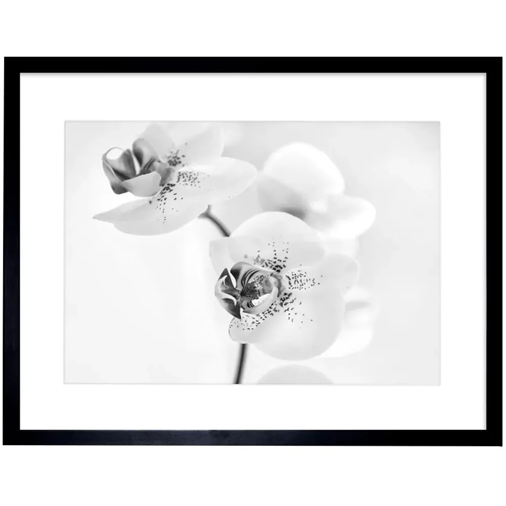 Black and White Orchid Flower Photo Framed Wall Art Print - White