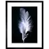 Black and White Photo Bird Feather Framed Wall Art Print