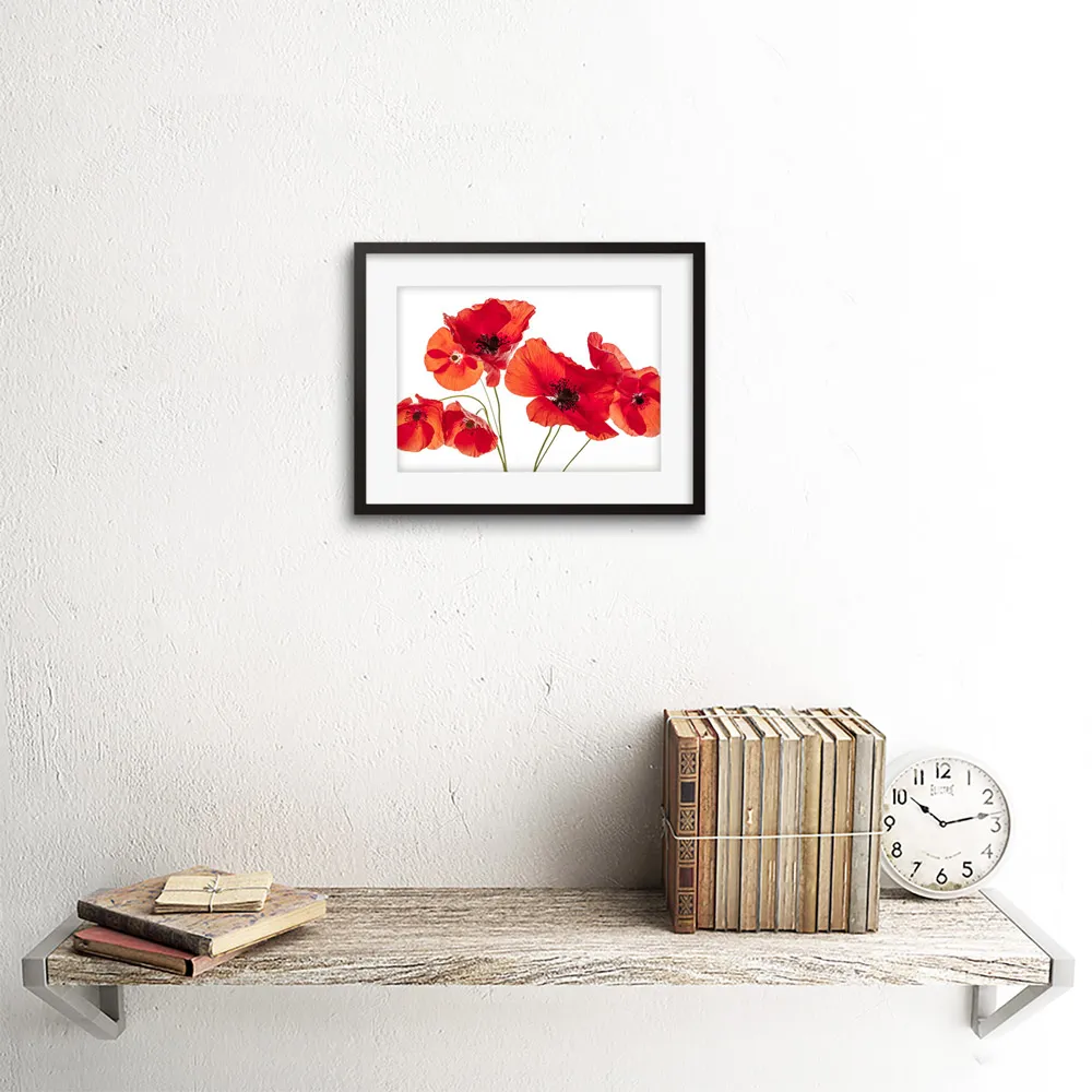 Poppy Heads Framed Wall Art Print - Red