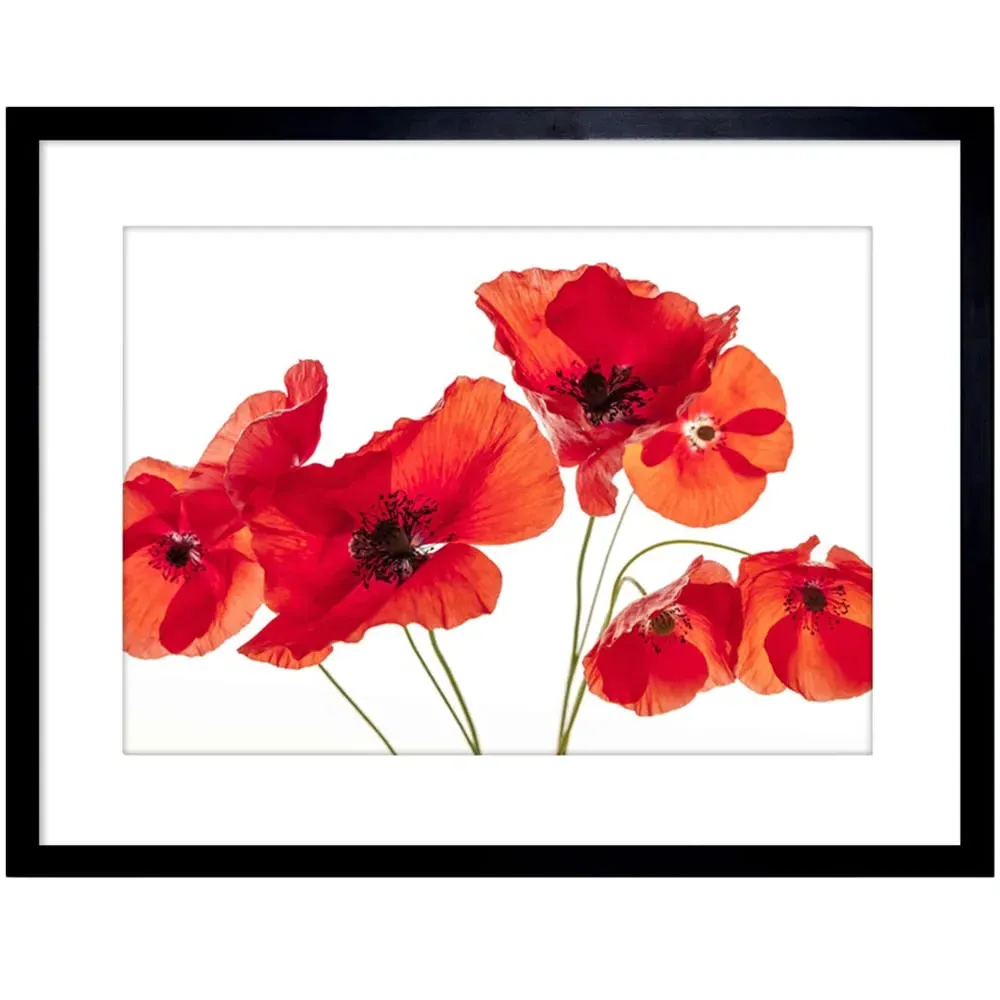 Poppy Heads Framed Wall Art Print - Red image