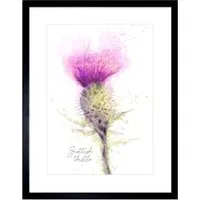 Scottish Thistle Flower Bloom Watercolour Framed Wall Art - Purple