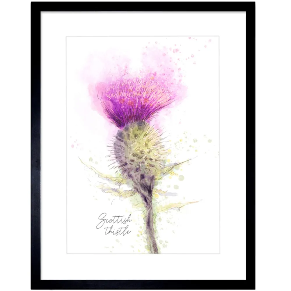 Scottish Thistle Flower Bloom Watercolour Framed Wall Art - Purple image