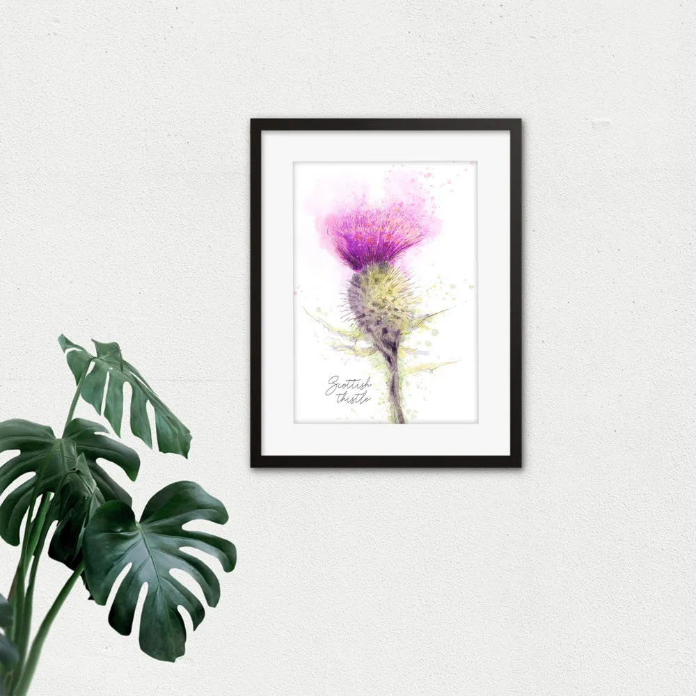 Thistle Flower Head Scotland Watercolour Framed Wall Art - Purple