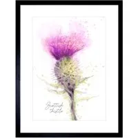 Thistle Flower Head Scotland Watercolour Framed Wall Art - Purple