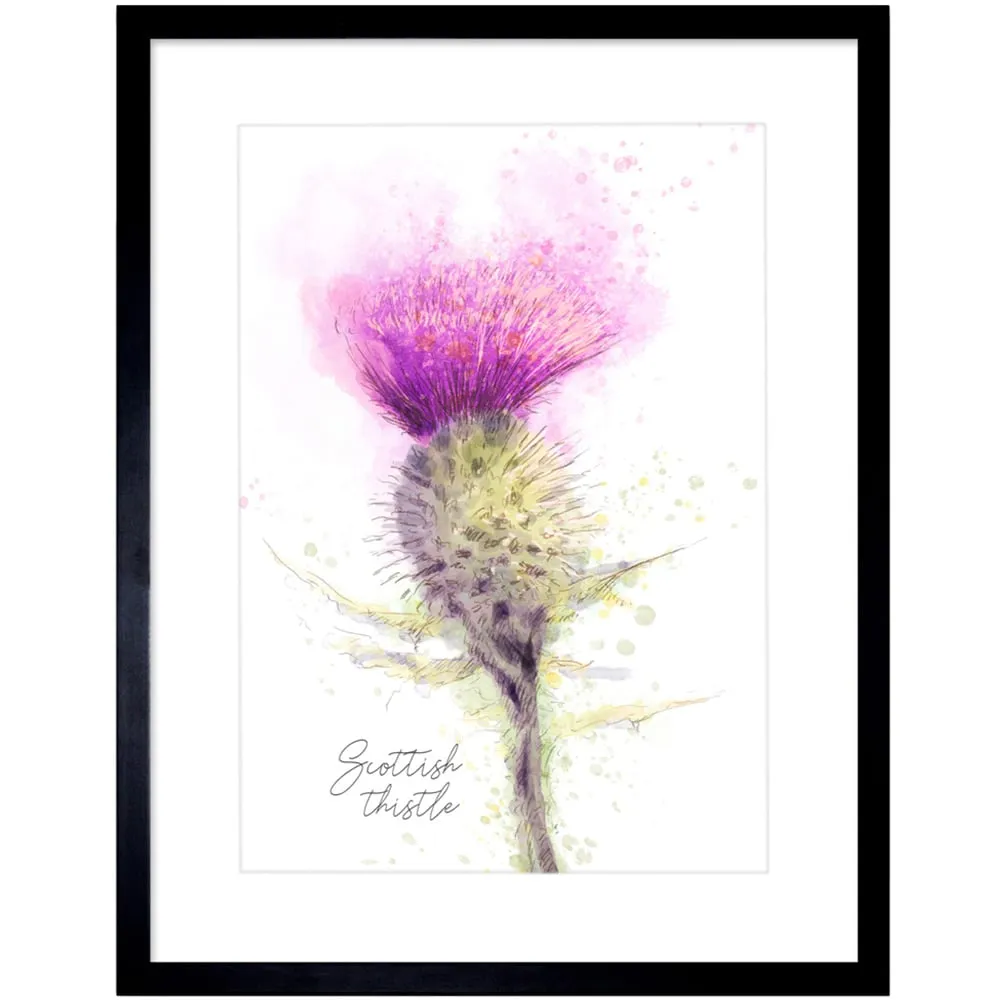 Thistle Flower Head Scotland Watercolour Framed Wall Art - Purple