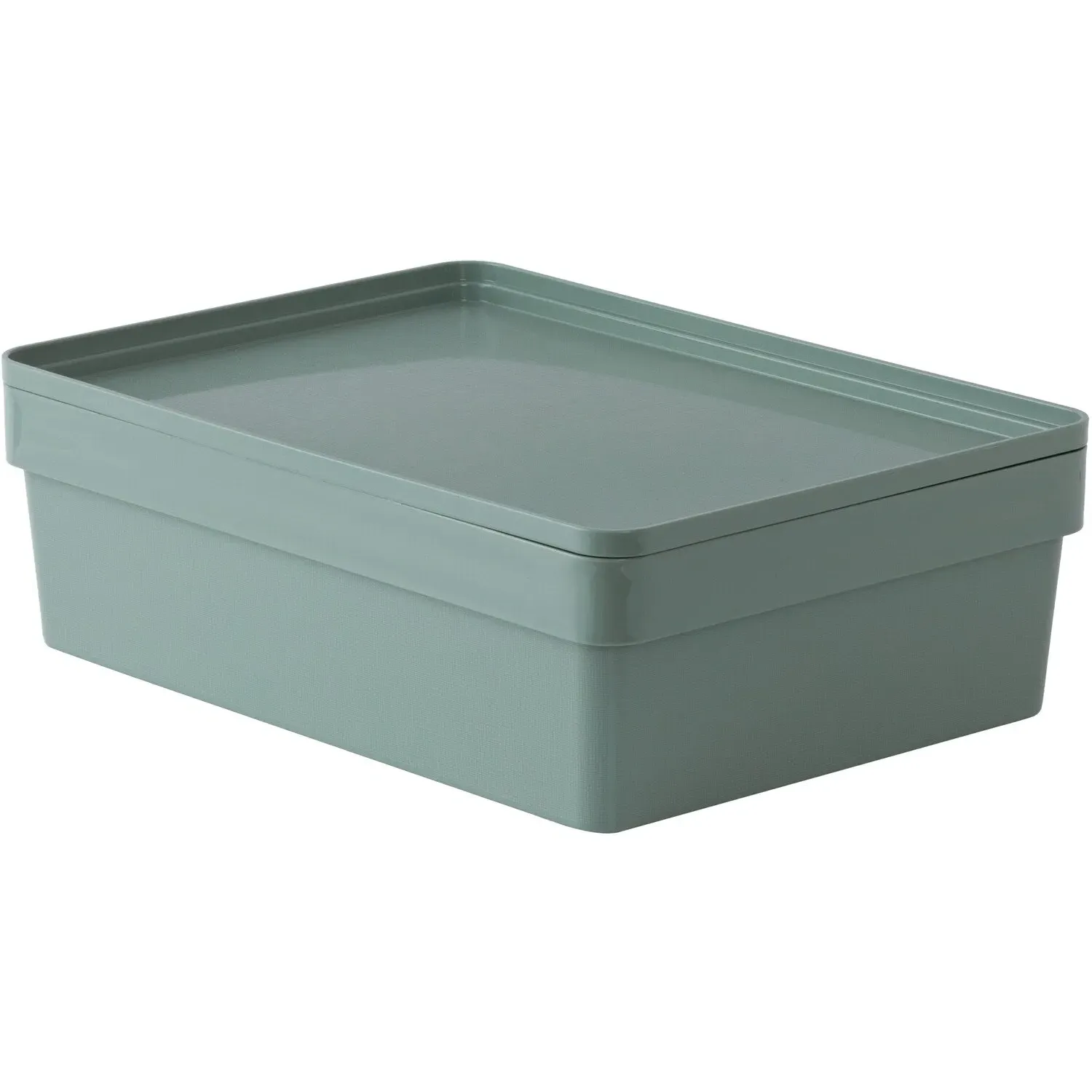 Opaque A4 Storage Box Shallow - Sage image