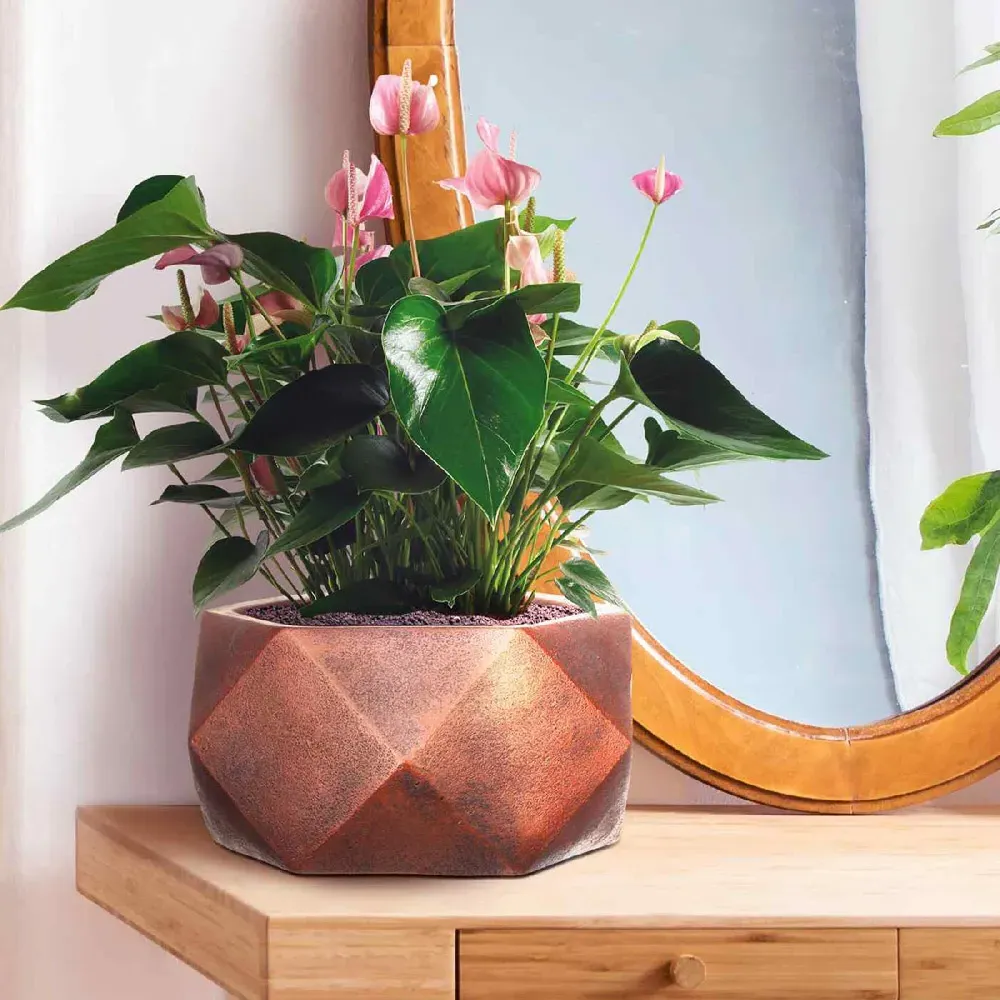 Geometry Bowl Indoor Plant Pot 15cm - Bronze, Fibre Stone