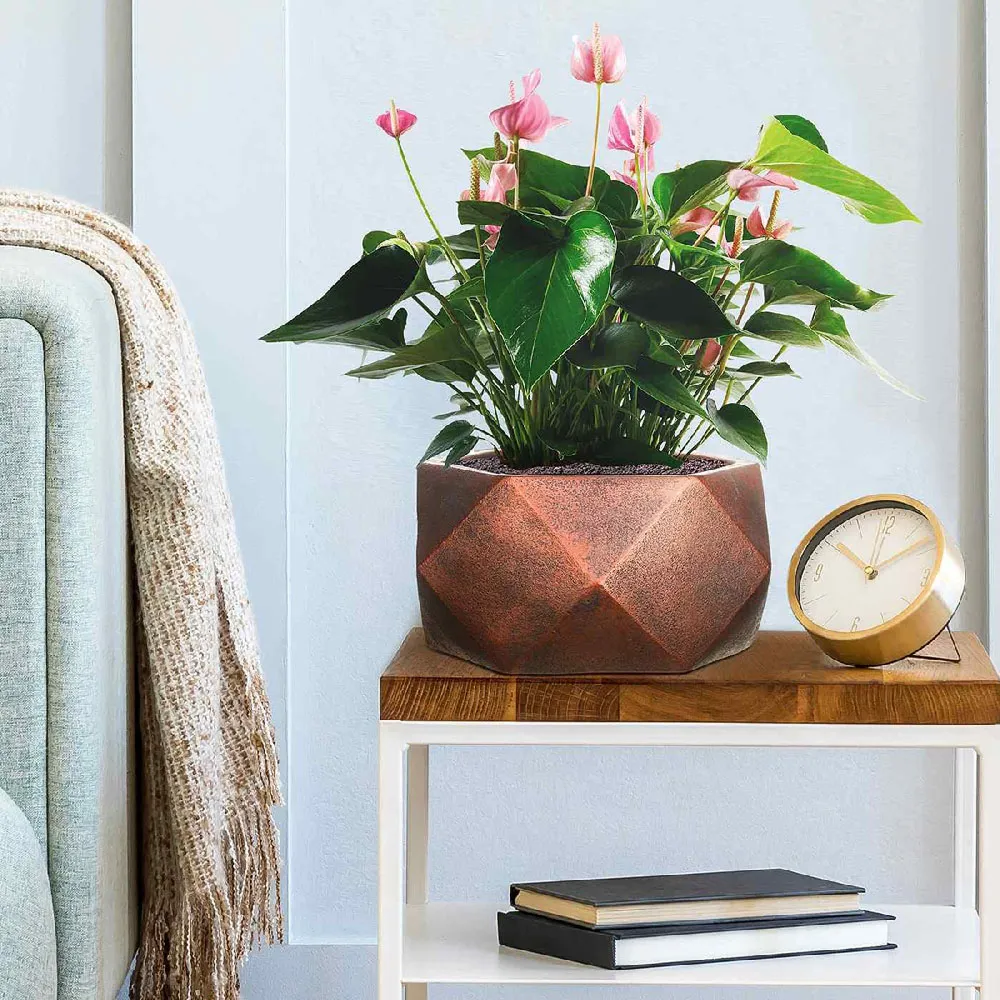 Geometry Bowl Indoor Plant Pot 15cm - Bronze, Fibre Stone