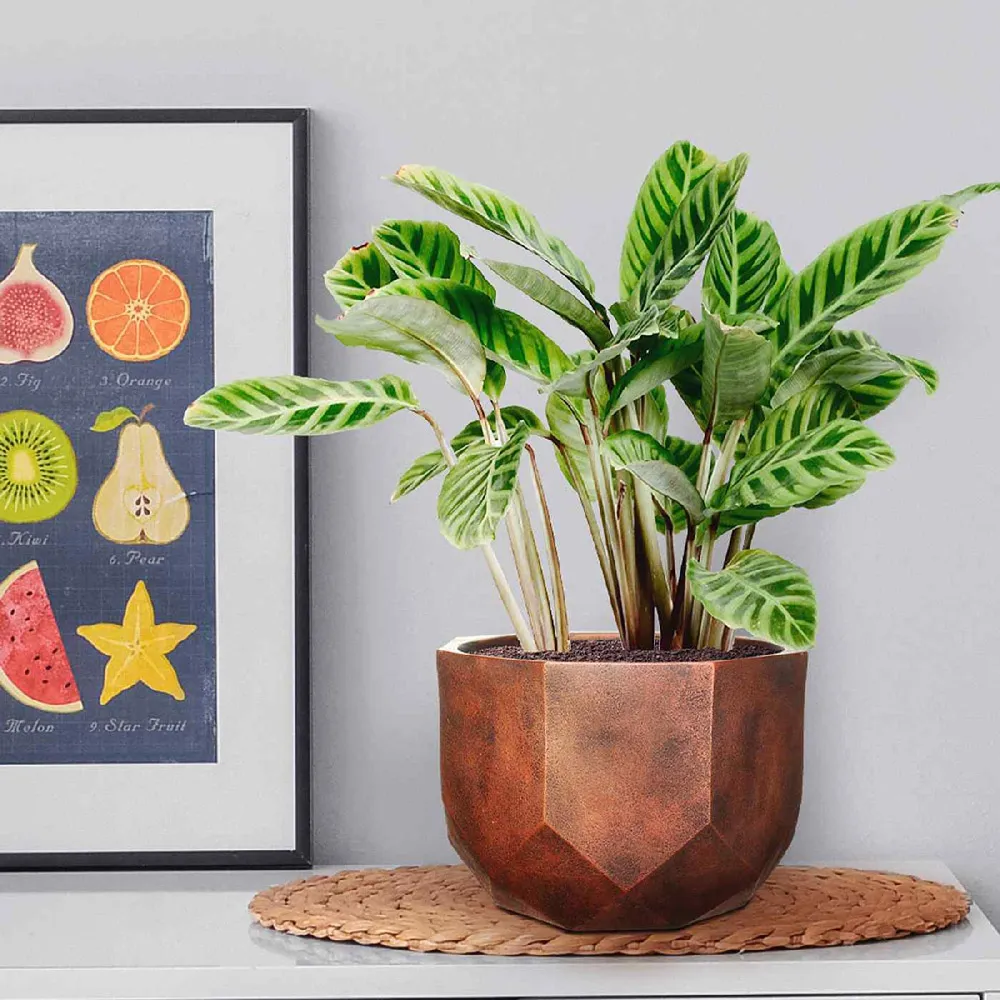 Geometry Round Indoor Plant Pot 17cm - Bronze, Fibre Stone