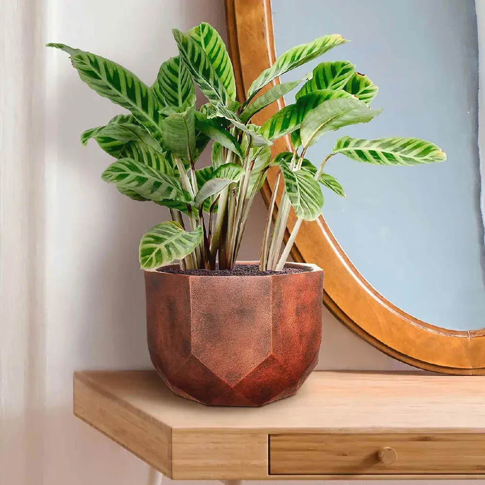 Geometry Round Indoor Plant Pot 17cm - Bronze, Fibre Stone