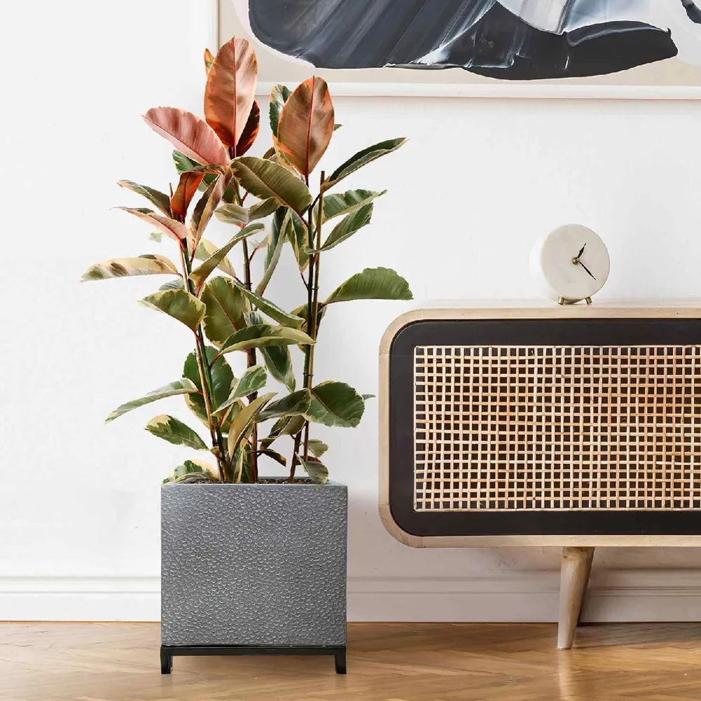Hammered Stone Square Indoor Planter on Metal Stand - Light Grey