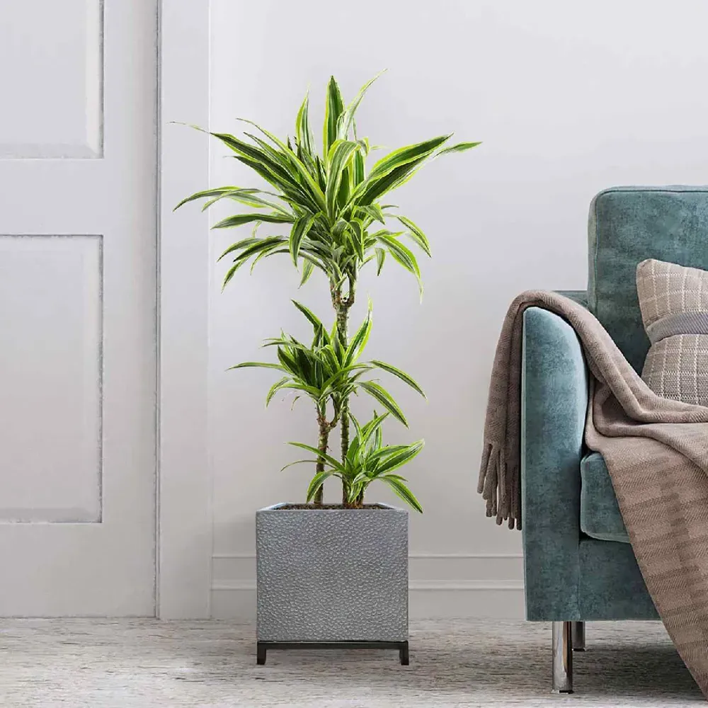 Hammered Stone Square Indoor Planter on Metal Stand - Light Grey