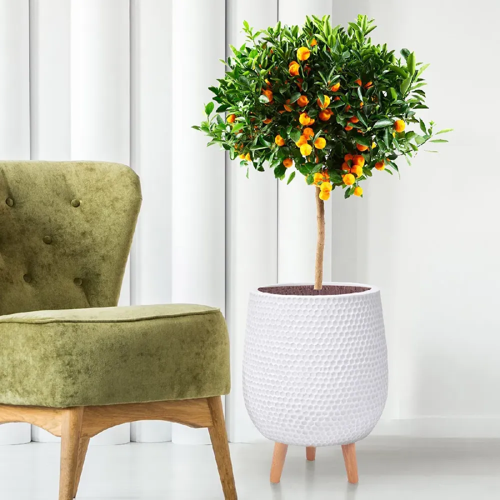 Honeycomb Oval Plant Pot with Legs - White