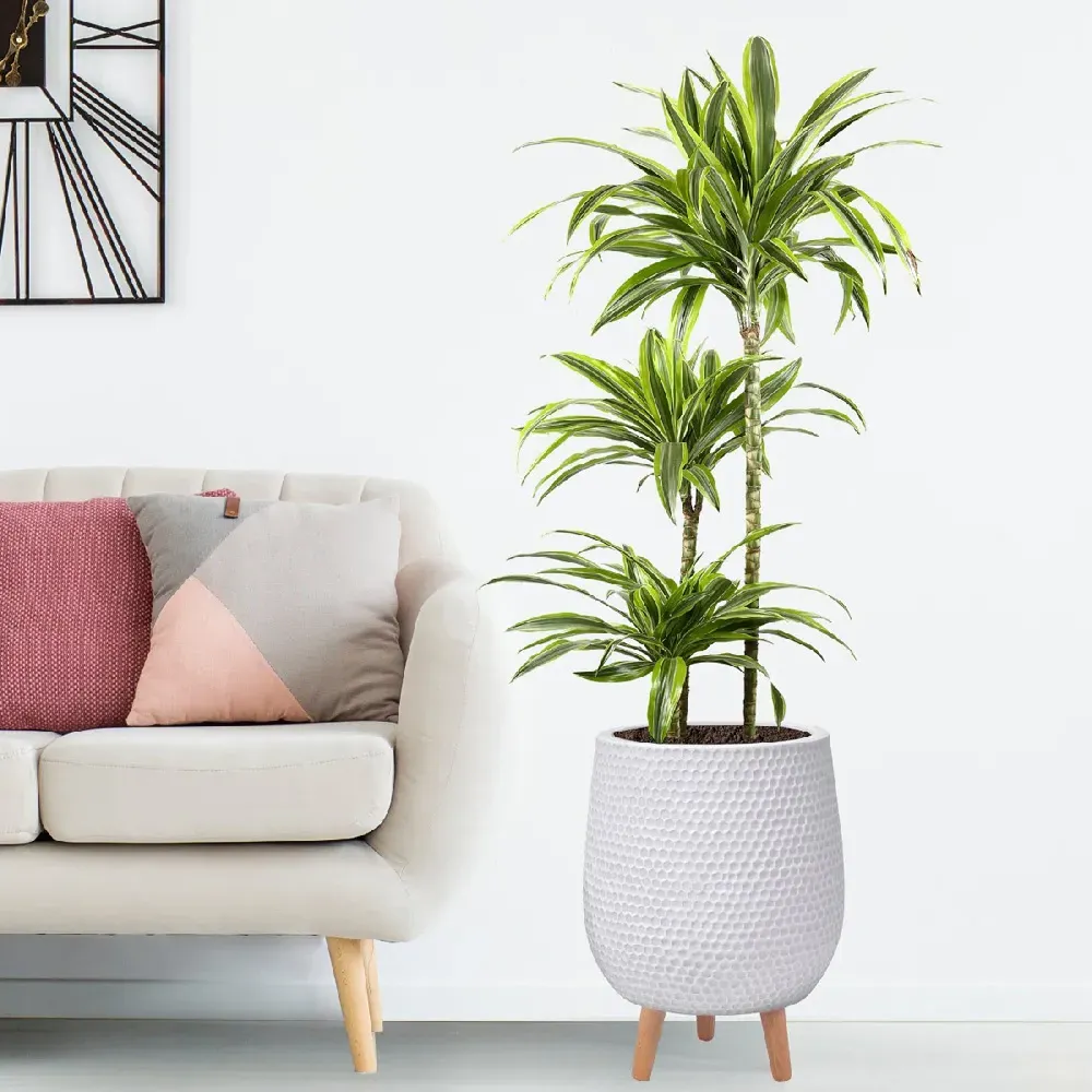 Honeycomb Oval Plant Pot with Legs - White