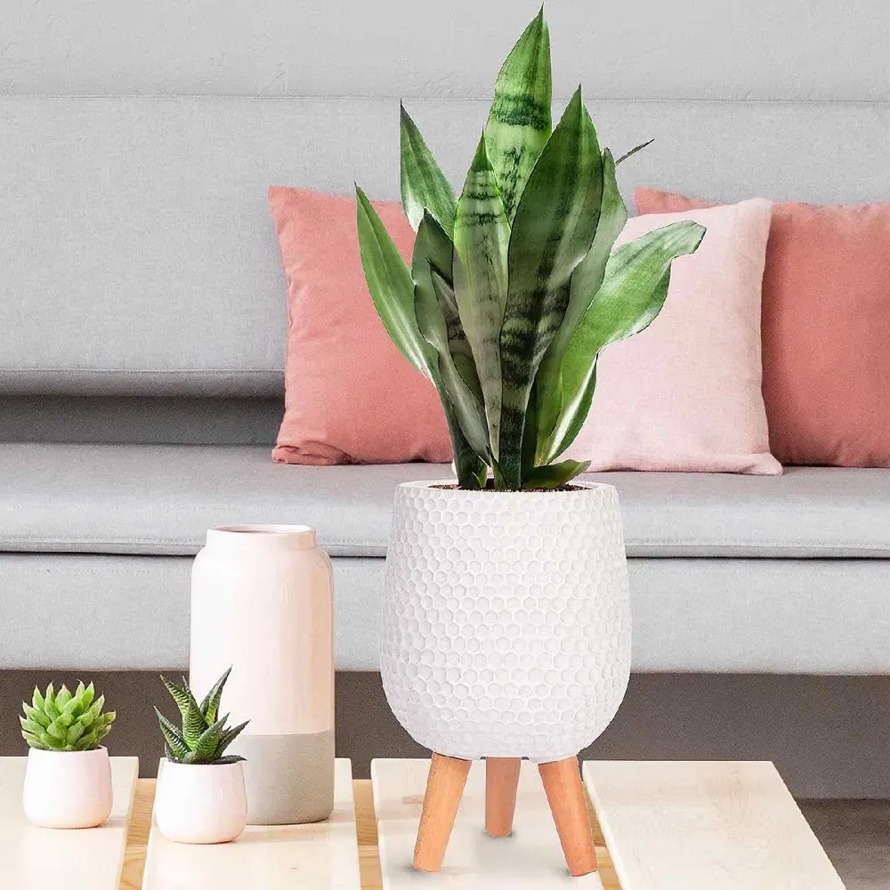 Honeycomb Oval Plant Pot with Legs - White