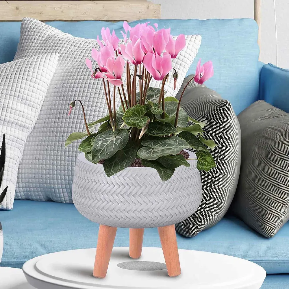 Plaited Bowl Plant Pot with Legs - White, Fibre