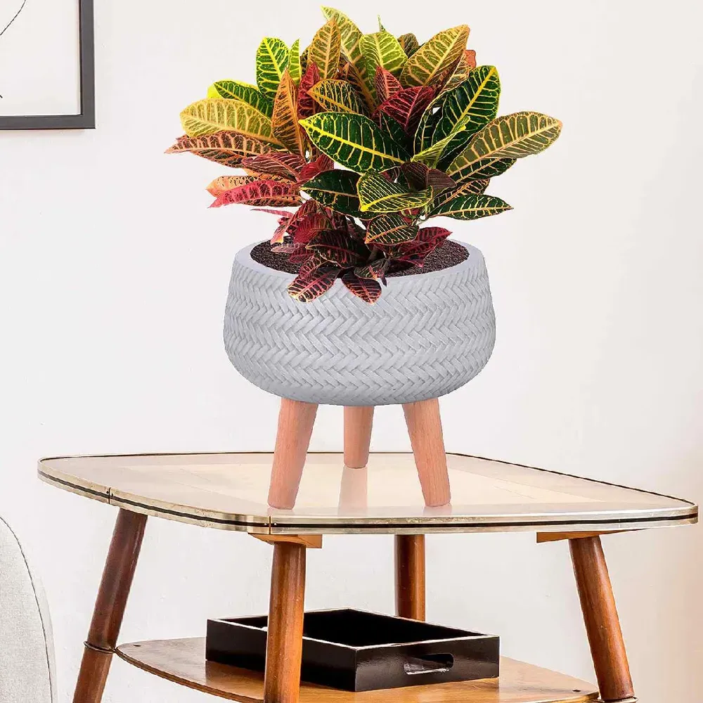 Plaited Bowl Plant Pot with Legs - White, Fibre