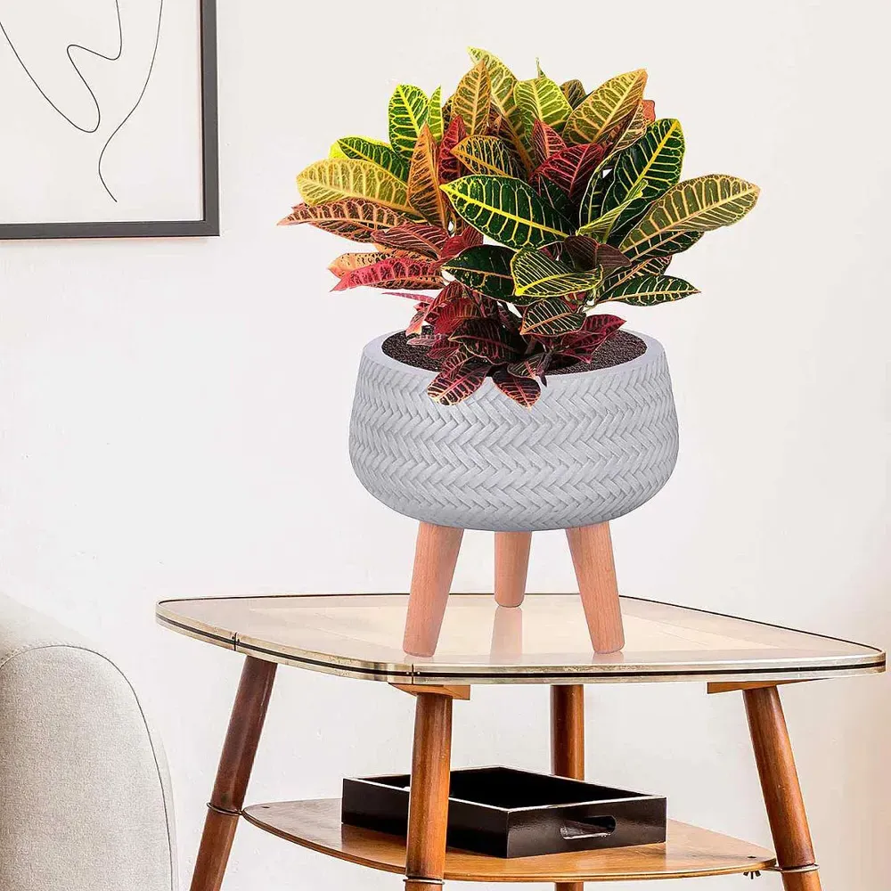 Plaited Bowl Plant Pot with Legs - White, Fibre