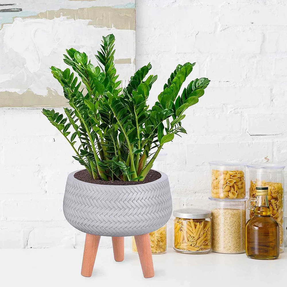 Plaited Bowl Plant Pot with Legs - White, Fibre