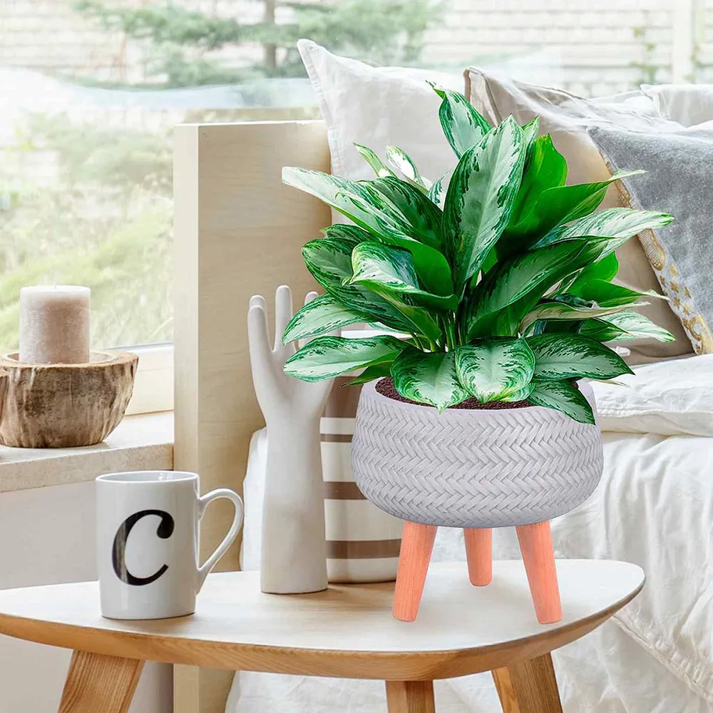 Plaited Bowl Plant Pot with Legs - White, Fibre