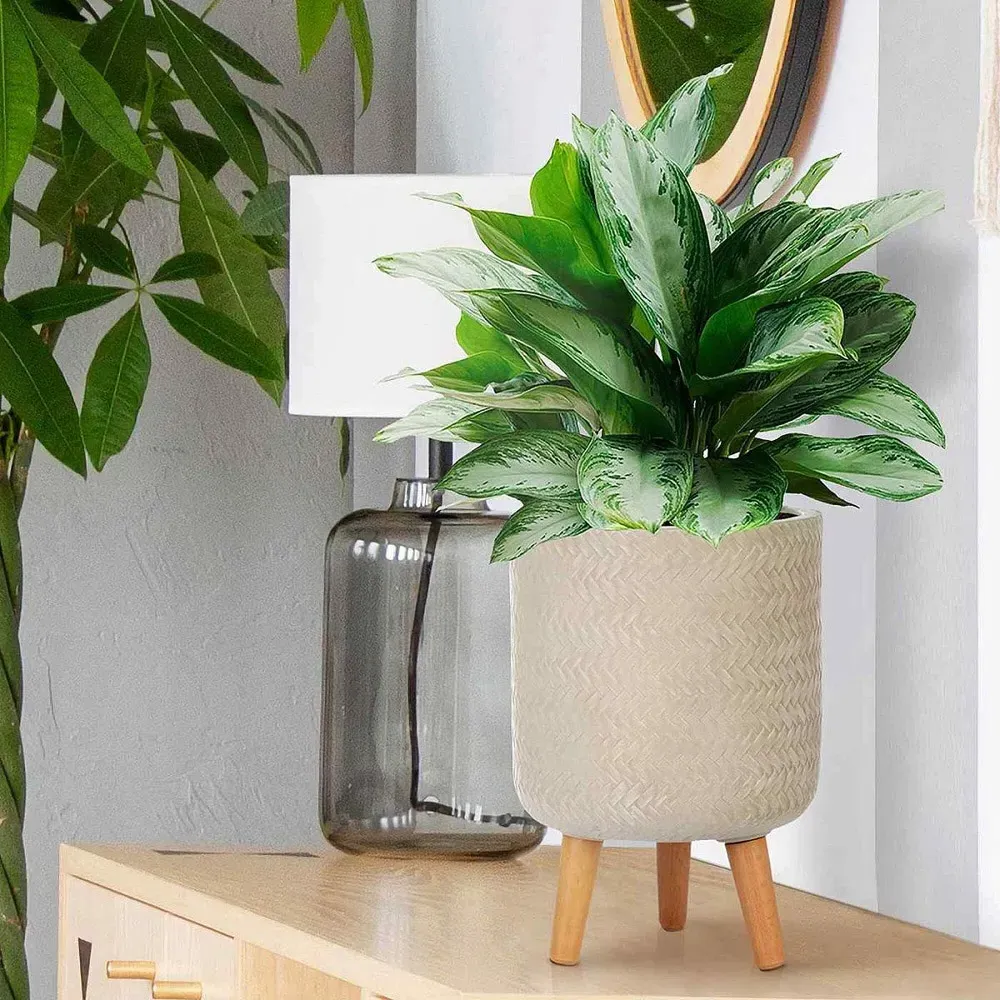 Plaited Cylinder Plant Pot with Legs - Beige