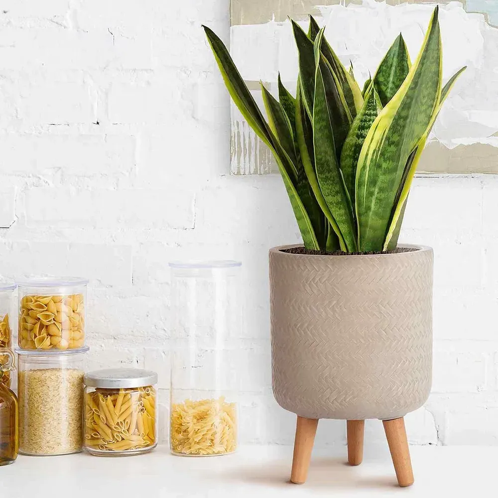 Plaited Cylinder Plant Pot with Legs - Beige
