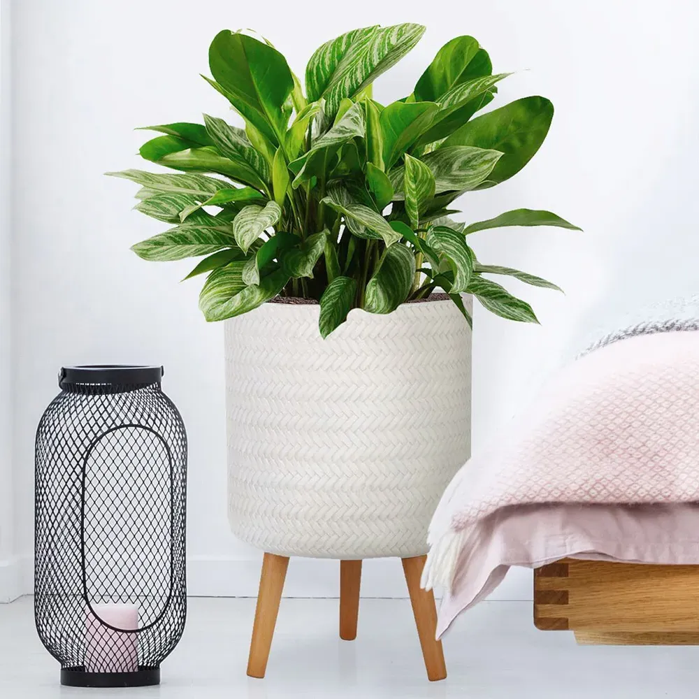 Plaited Cylinder Plant Pot with Legs - White, Fibre