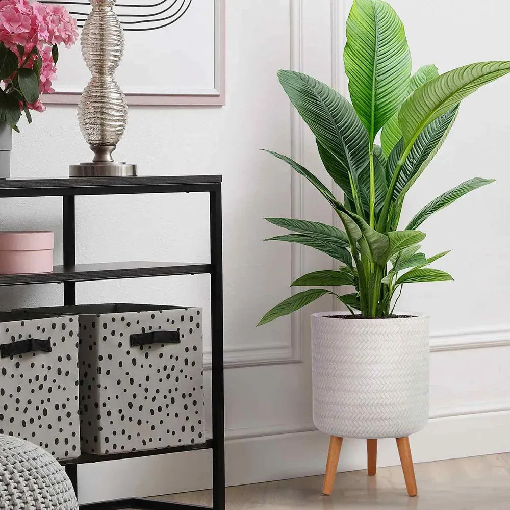 Plaited Cylinder Plant Pot with Legs - White, Fibre