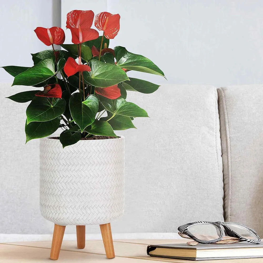 Plaited Cylinder Plant Pot with Legs - White, Fibre