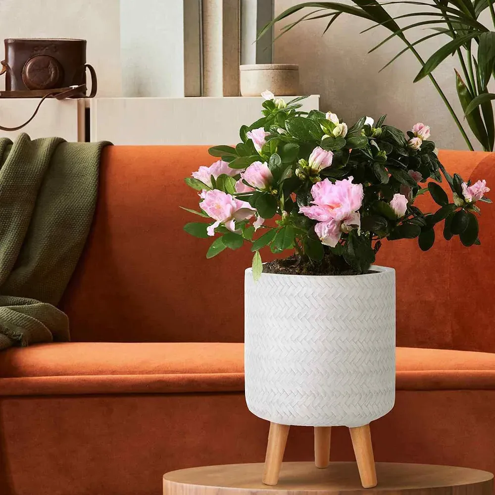 Plaited Cylinder Plant Pot with Legs - White, Fibre