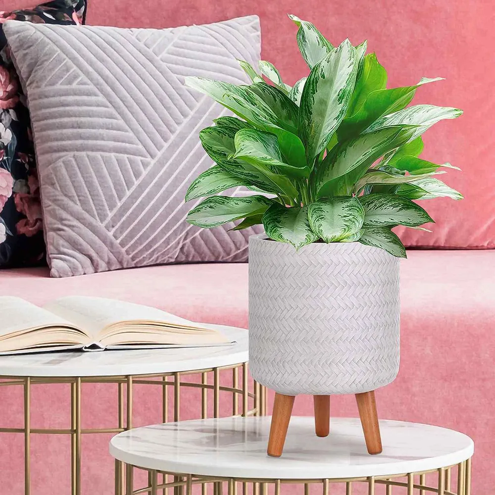Plaited Cylinder Plant Pot with Legs - White, Fibre