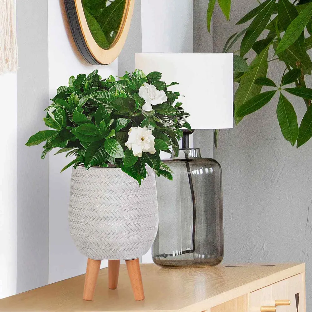 Plaited Style Round Indoor Planter with Legs - White