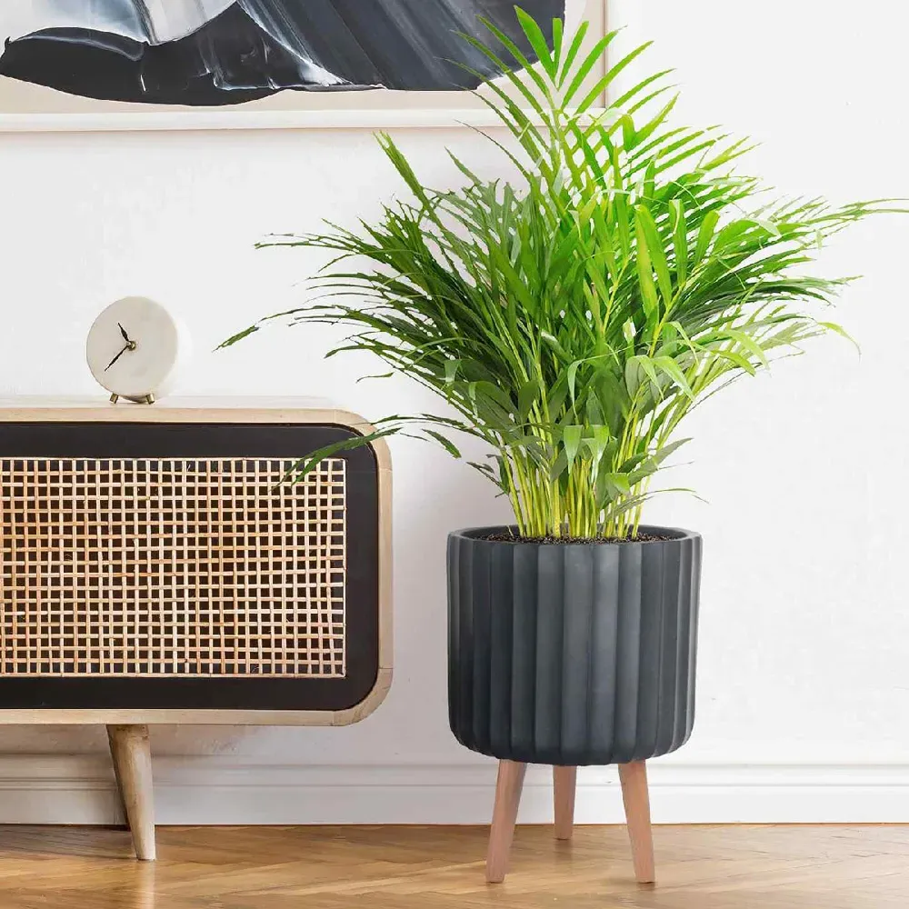 Ribbed Cylinder Plant Pot with Legs - Black