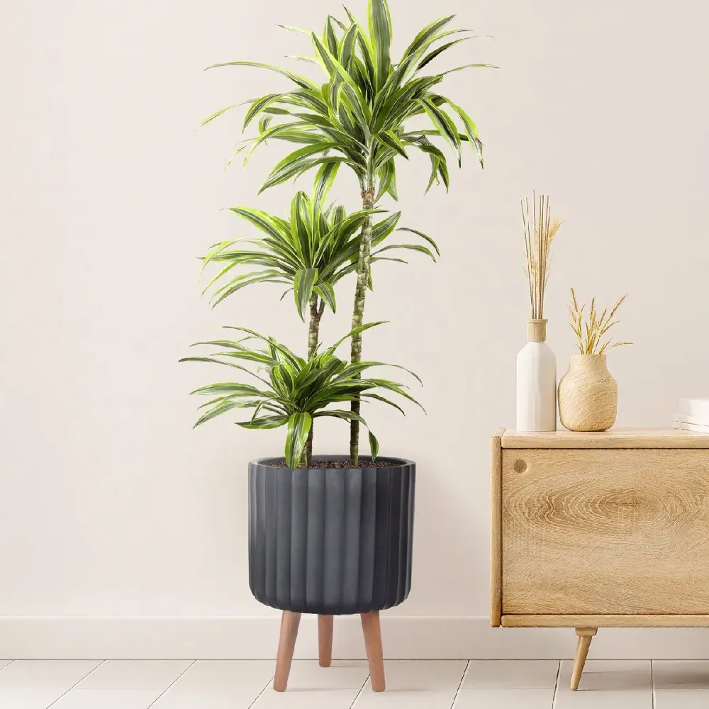 Ribbed Cylinder Plant Pot with Legs - Black