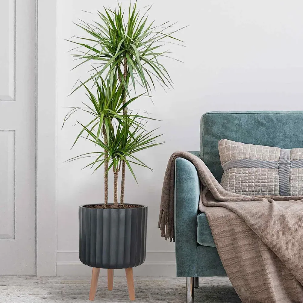 Ribbed Cylinder Plant Pot with Legs - Black