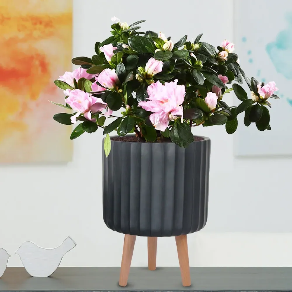 Ribbed Cylinder Plant Pot with Legs - Black