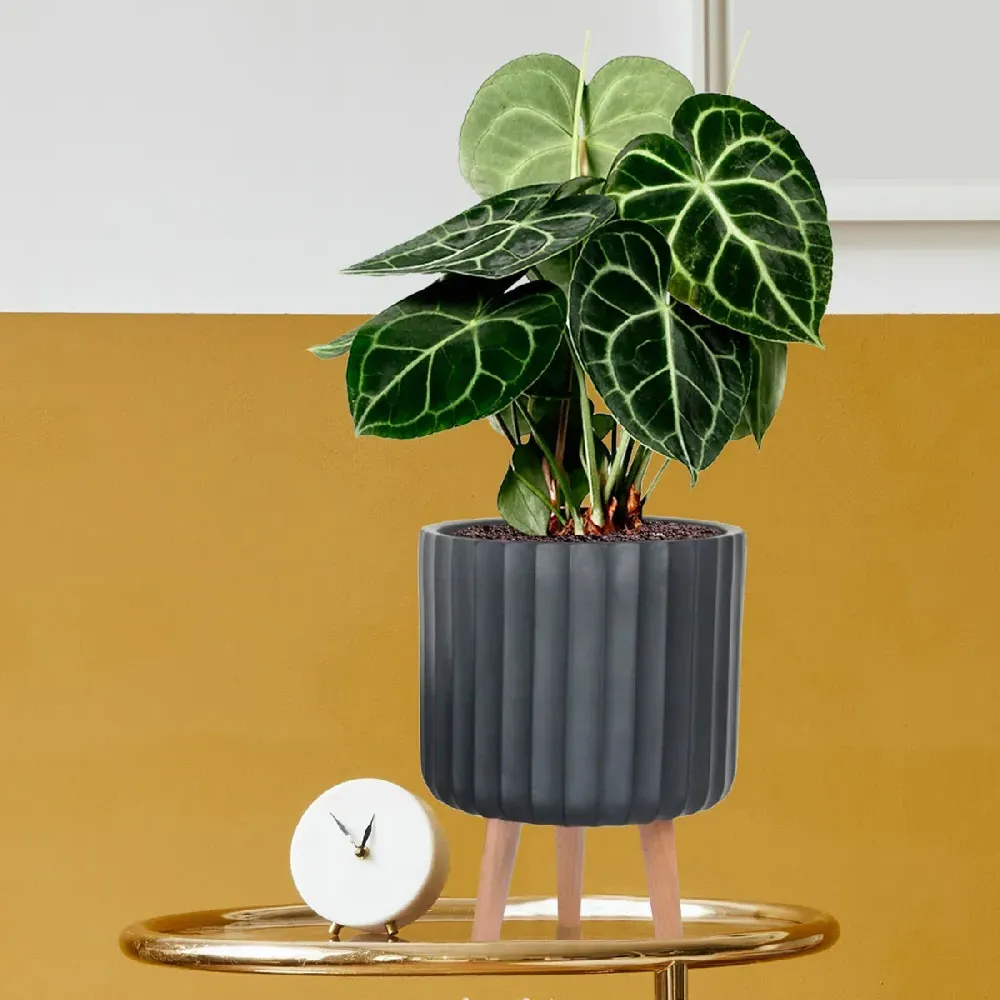 Ribbed Cylinder Plant Pot with Legs - Black