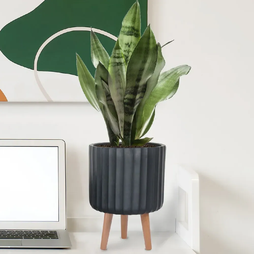 Ribbed Cylinder Plant Pot with Legs - Black