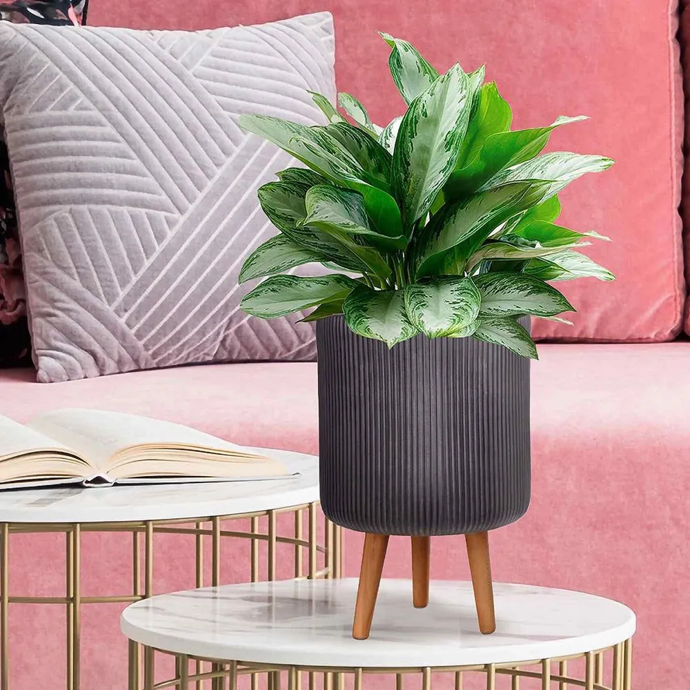 Ribbed Cylinder Plant Pot with Legs - Black