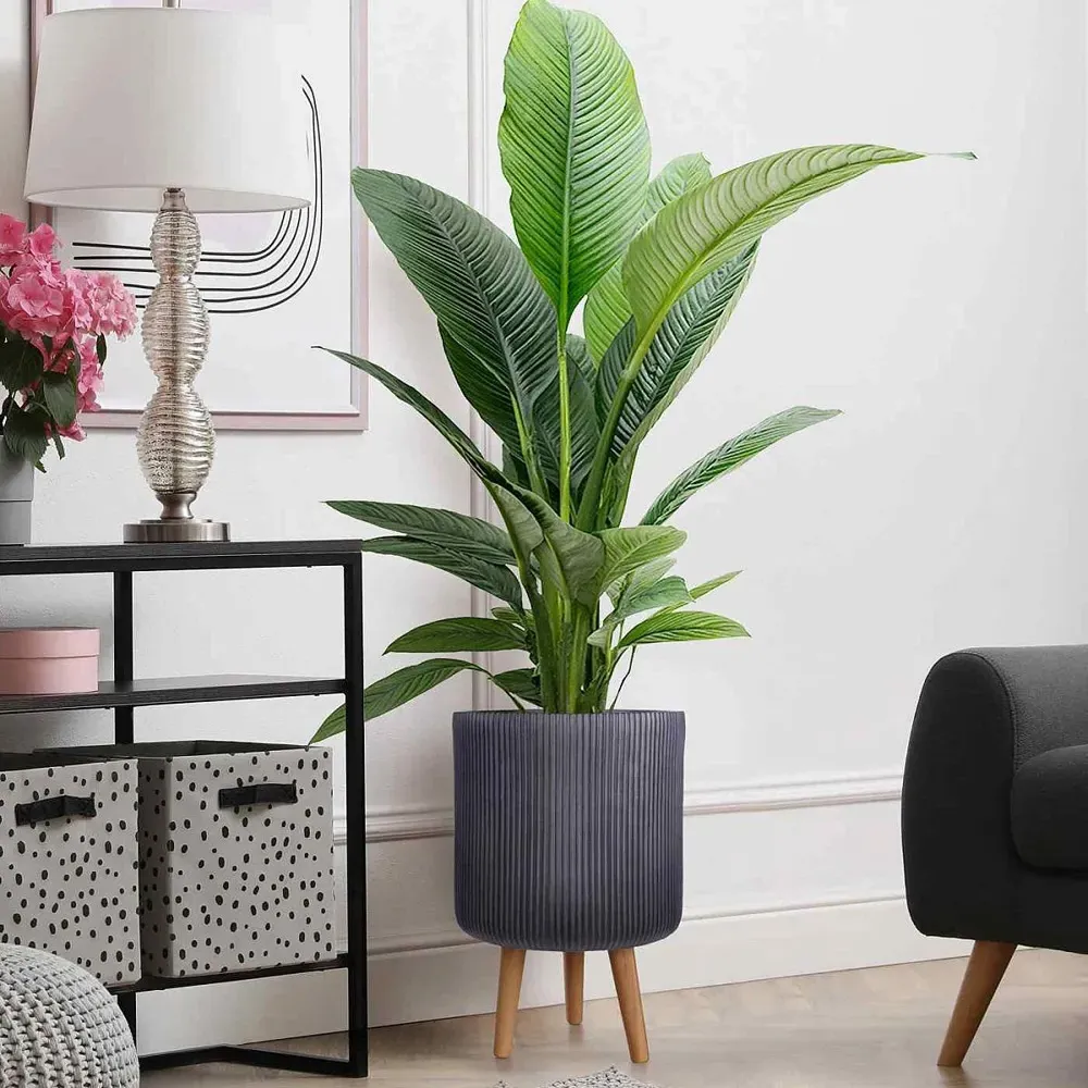 Ribbed Cylinder Plant Pot with Legs - Black