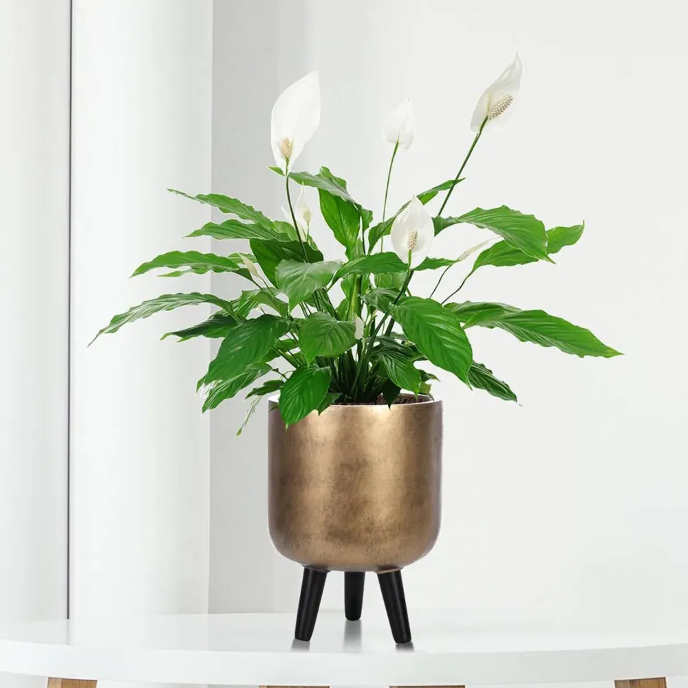 Round Indoor Planter with Legs - Gold, Fibre Stone