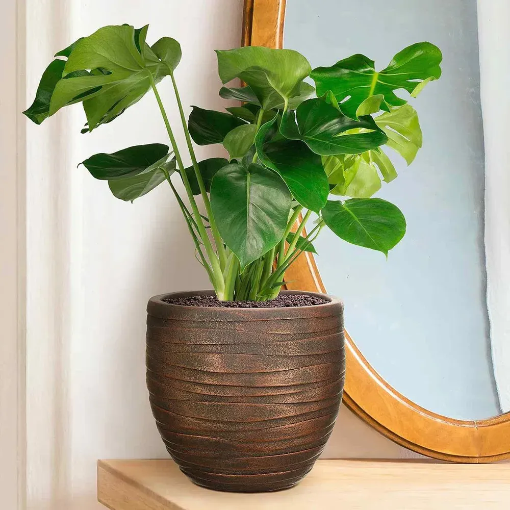 Row Style Indoor Plant Pot - Bronze