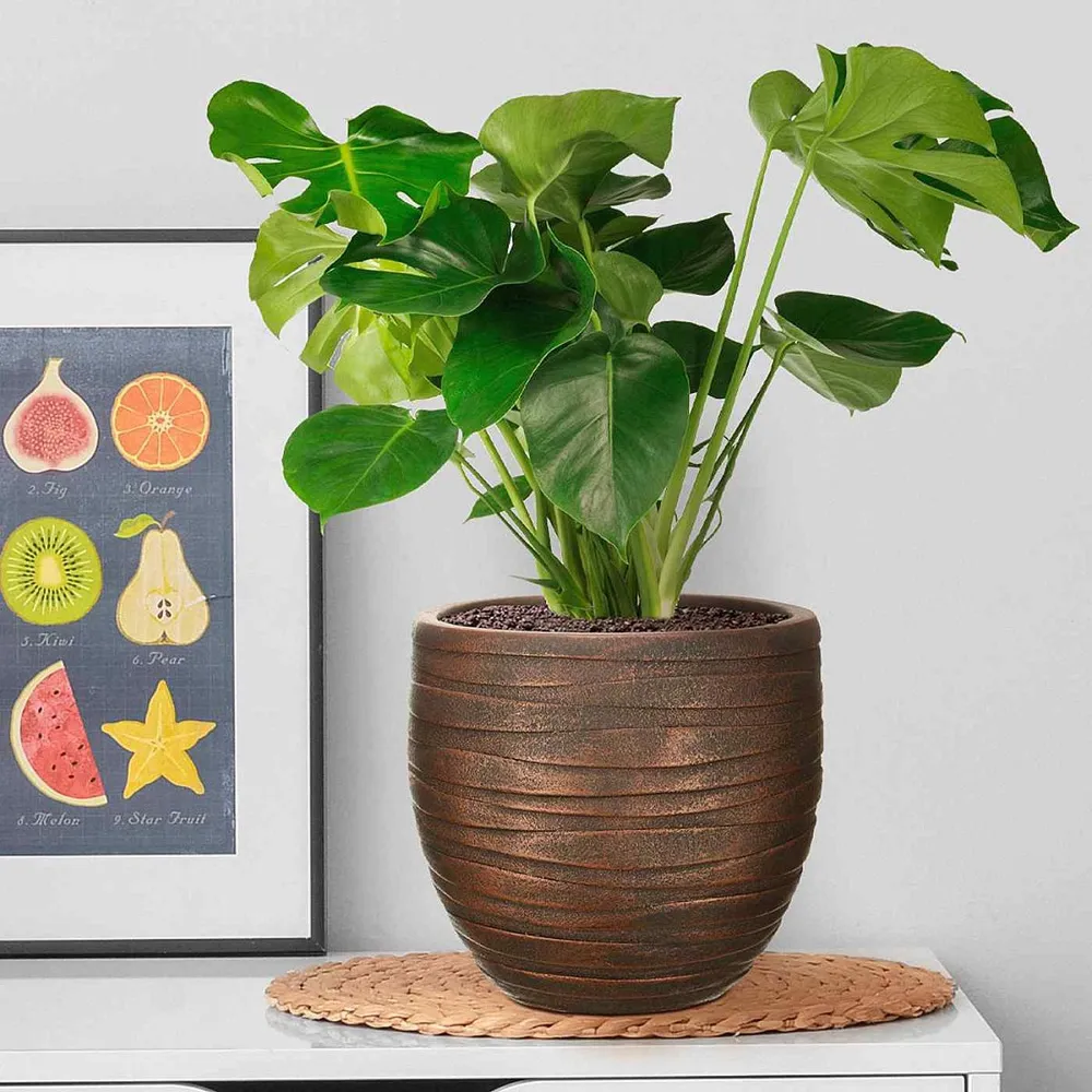 Row Style Indoor Plant Pot - Bronze