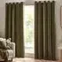Heavy Chenille Velvet Eyelet Curtain - Green