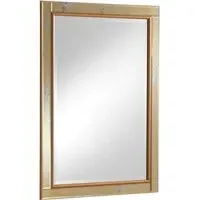 Antique Mottled Lunar Bevelled Mirror - Gold