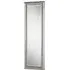 Silvery Champagne Bevelled Tall Mirror - Silver