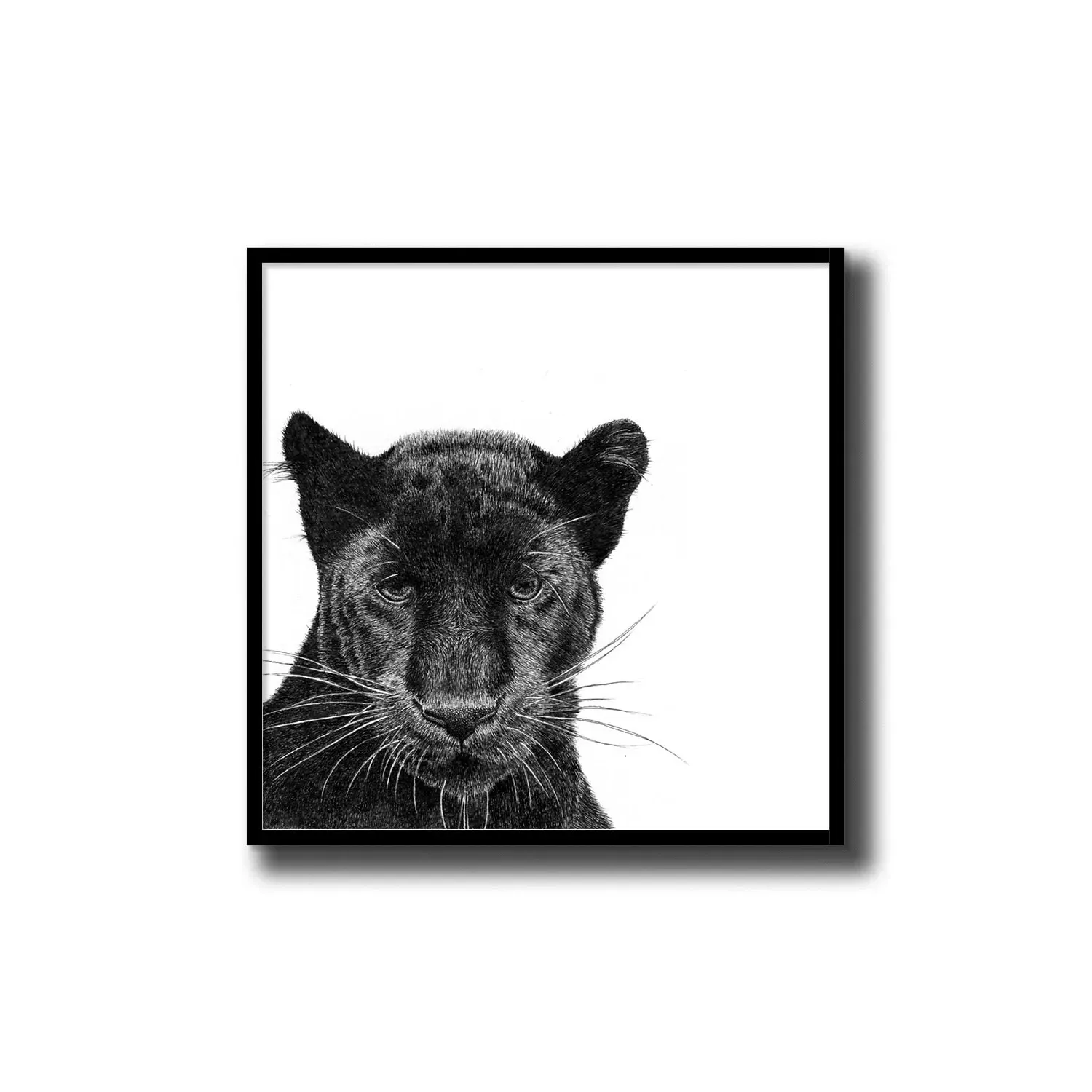 Peering Panther Art Print Small - Black image