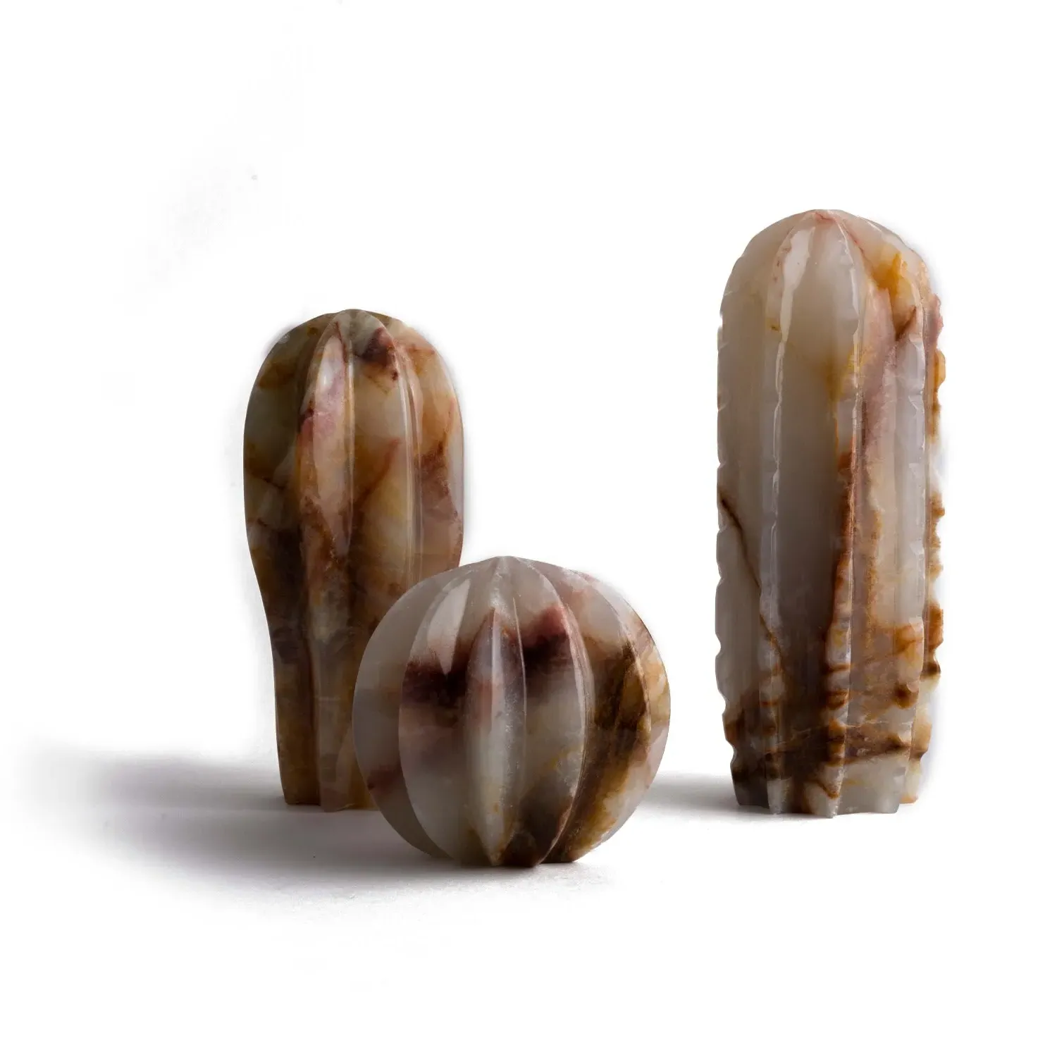 Cactus Set - Multicolour