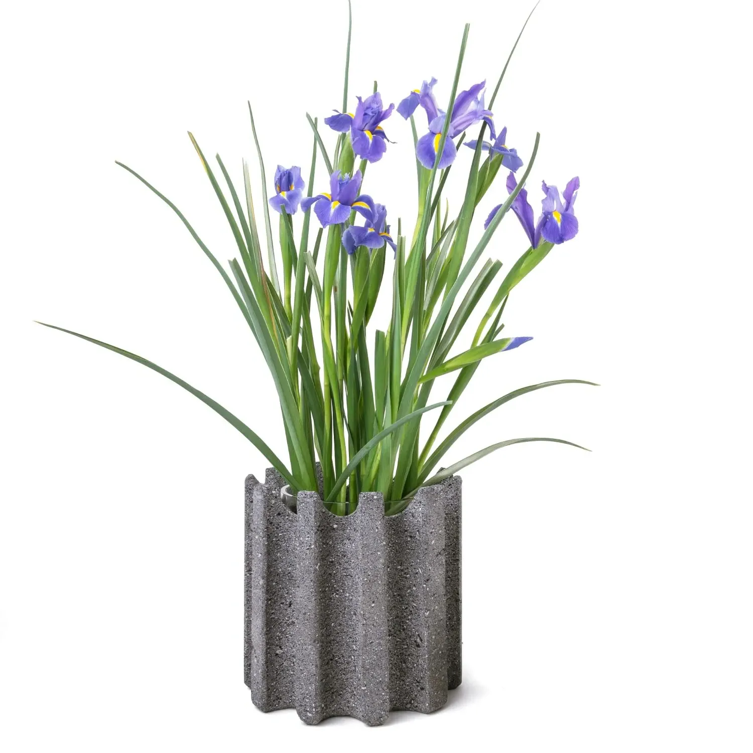 Greek Vase - Grey, Lava Stone image